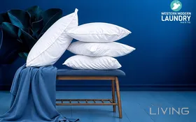 Buy 1 Get 1 - Pillow Washing/Cleaning